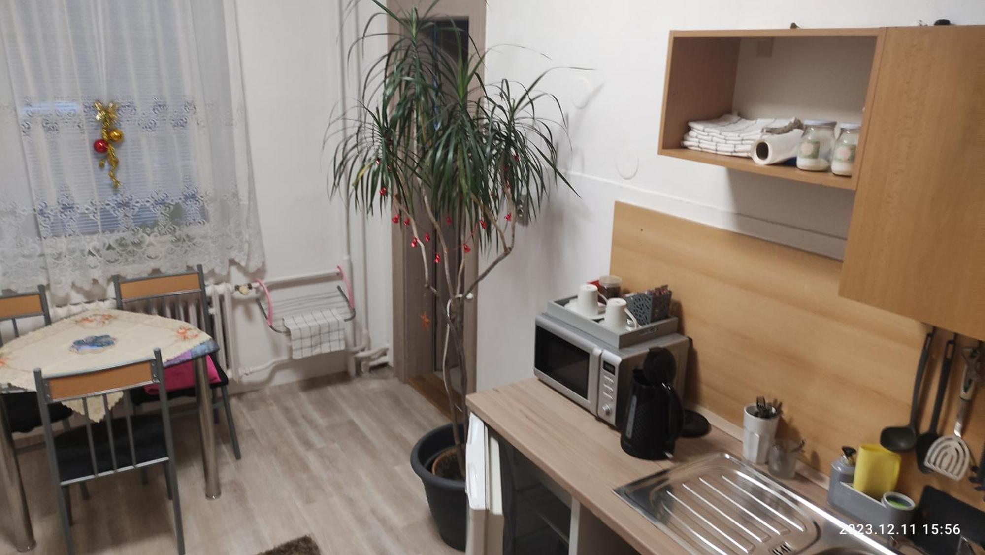 Penzion Palma Frýdlant nad Ostravicí Exteriör bild