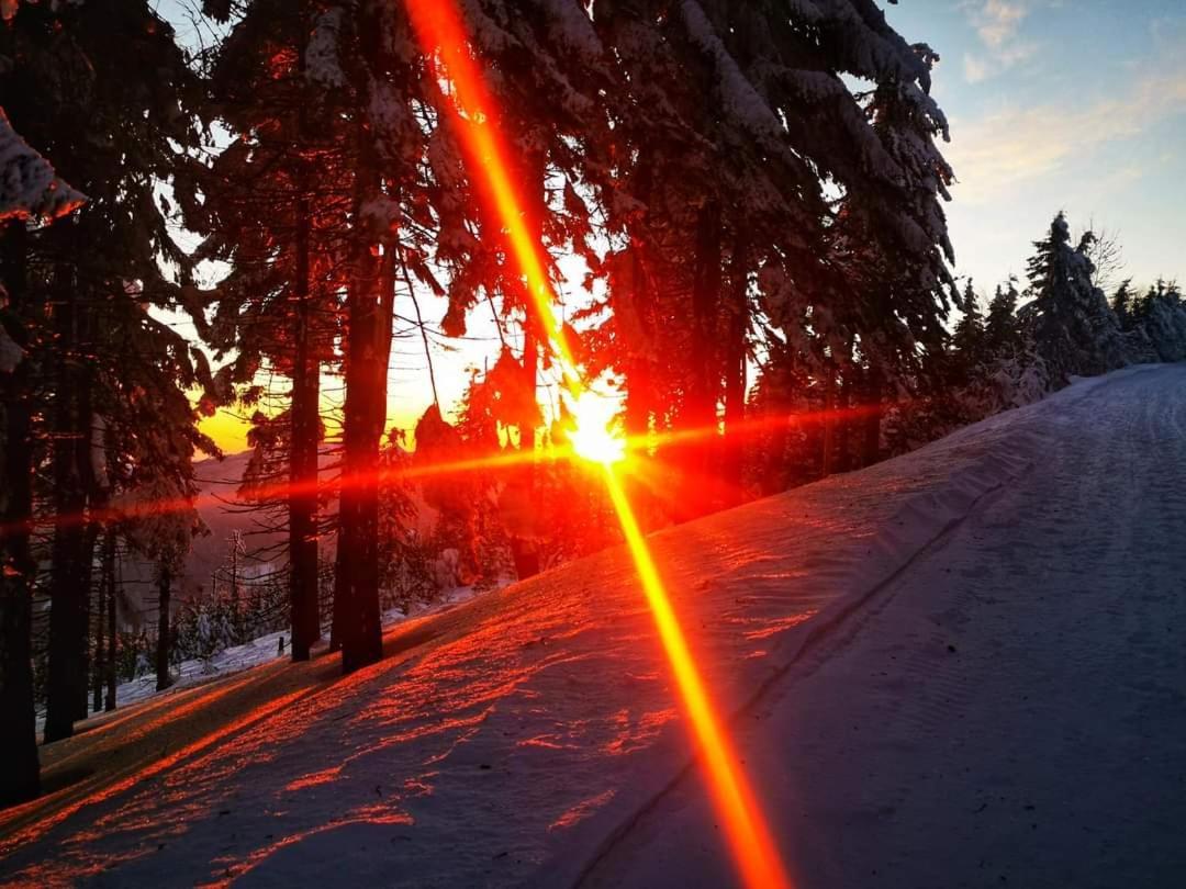 Penzion Palma Frýdlant nad Ostravicí Exteriör bild